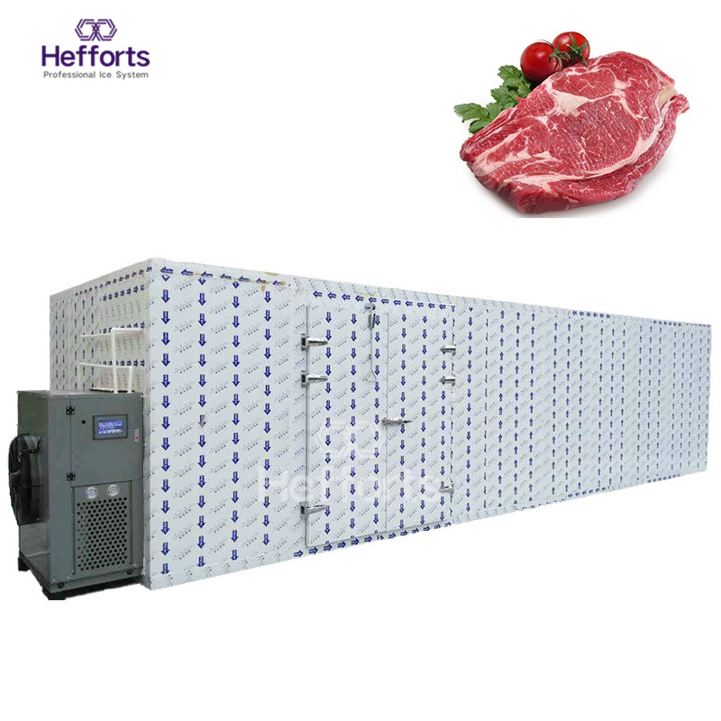 Kühlraum für gefrorene Fische /Fleisch, Anti-Aging Bitzer Kompressor-Einheit